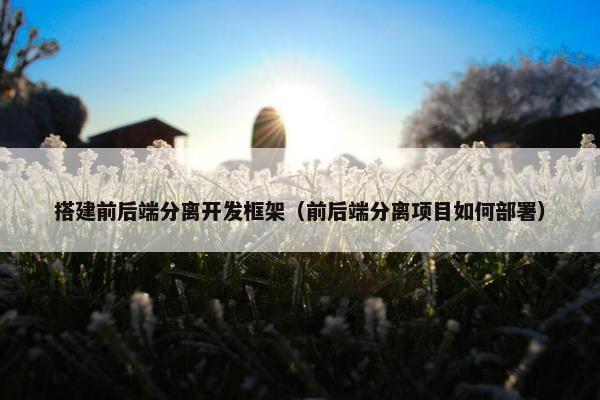 搭建前后端分离开发框架（前后端分离项目如何部署）