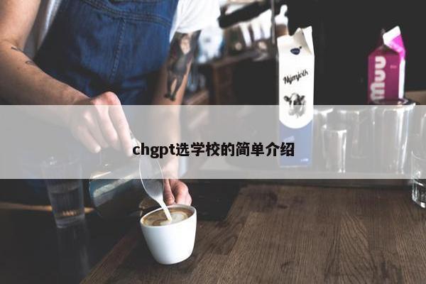 chgpt选学校的简单介绍
