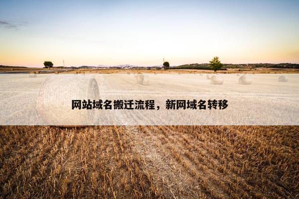 网站域名搬迁流程，新网域名转移