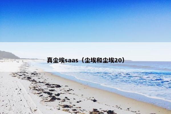 真尘埃saas（尘埃和尘埃20）