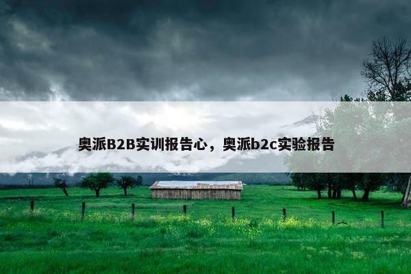 奥派B2B实训报告心，奥派b2c实验报告