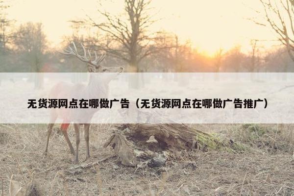 无货源网点在哪做广告（无货源网点在哪做广告推广）