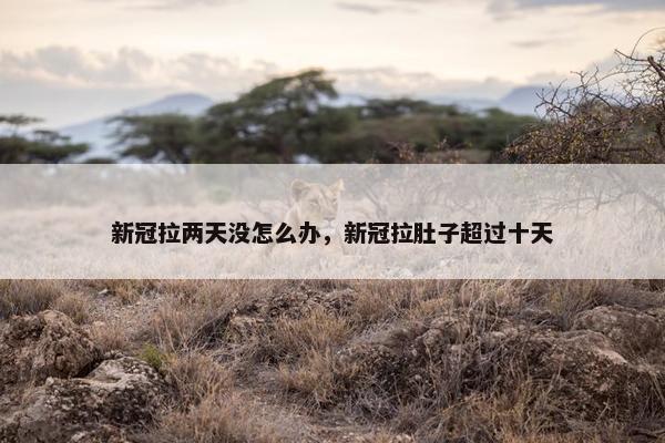 新冠拉两天没怎么办，新冠拉肚子超过十天