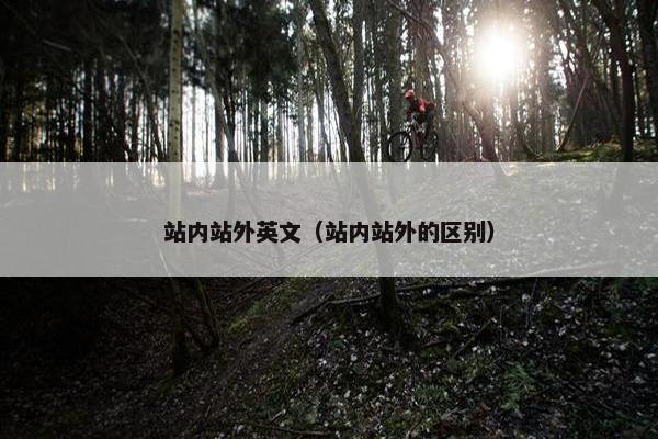 站内站外英文（站内站外的区别）