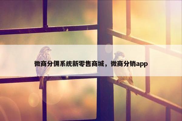 微商分佣系统新零售商城，微商分销app