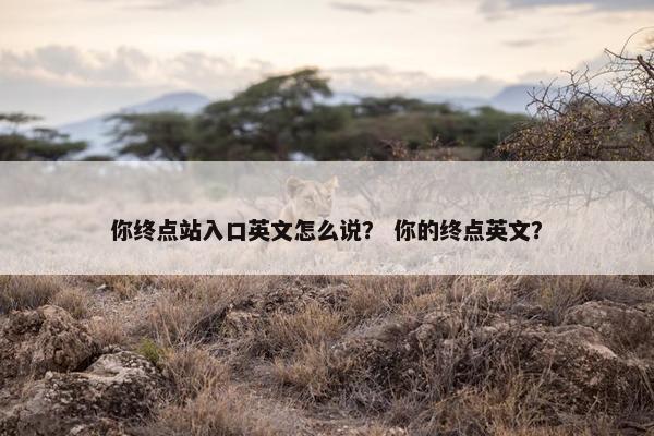 你终点站入口英文怎么说？ 你的终点英文？