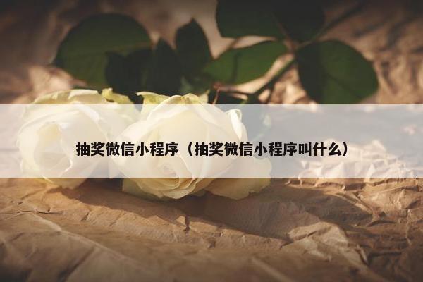 抽奖微信小程序（抽奖微信小程序叫什么）