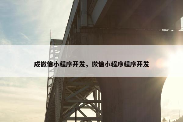 成微信小程序开发，微信小程序程序开发