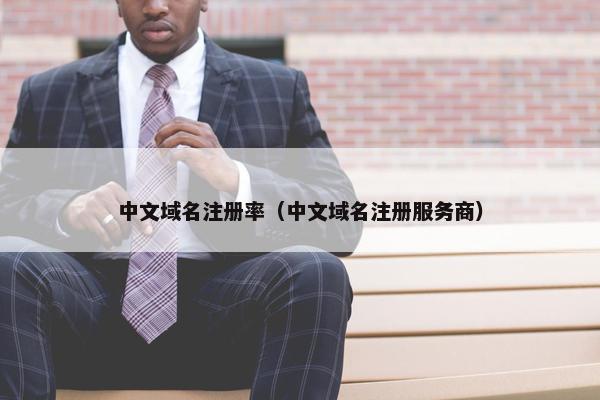 中文域名注册率（中文域名注册服务商）