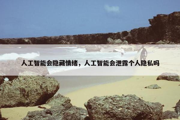 人工智能会隐藏情绪，人工智能会泄露个人隐私吗