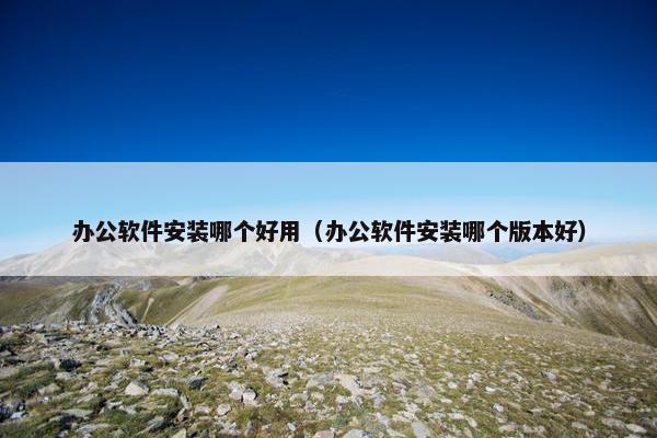 办公软件安装哪个好用（办公软件安装哪个版本好）