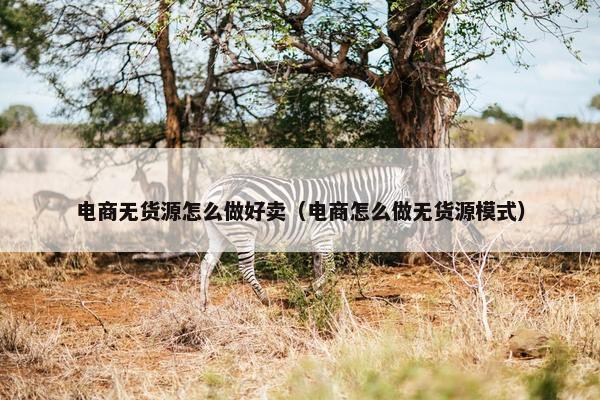 电商无货源怎么做好卖（电商怎么做无货源模式）