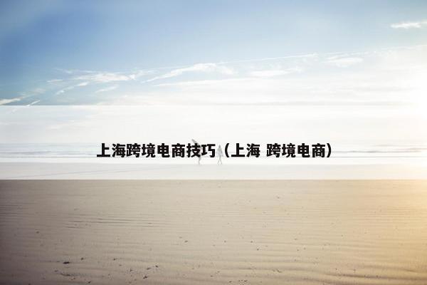 上海跨境电商技巧（上海 跨境电商）