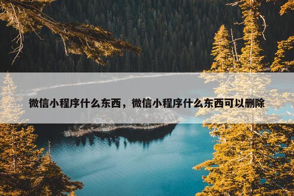 微信小程序什么东西，微信小程序什么东西可以删除
