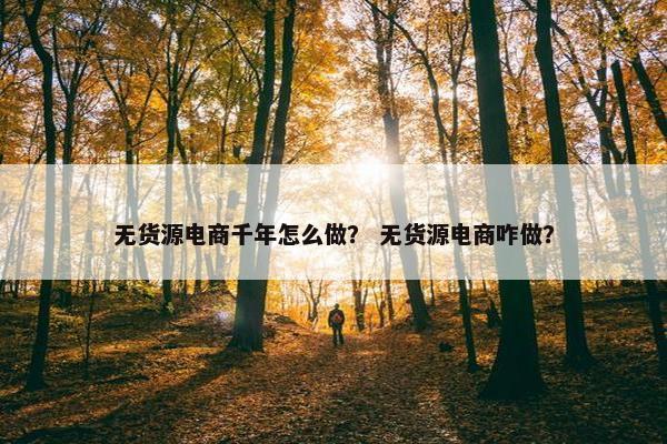 无货源电商千年怎么做？ 无货源电商咋做？