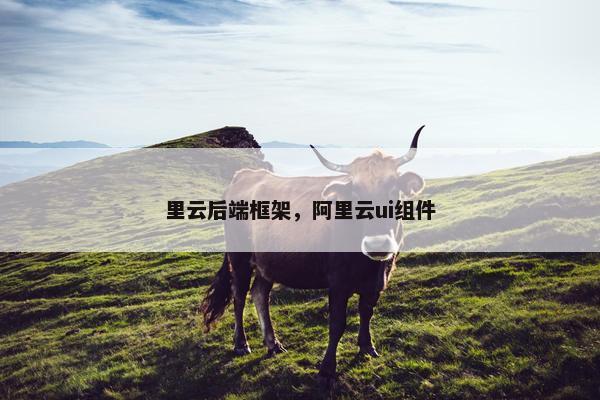 里云后端框架，阿里云ui组件