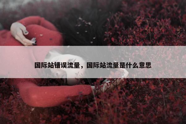 国际站错误流量，国际站流量是什么意思