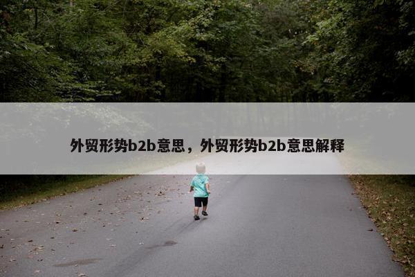 外贸形势b2b意思，外贸形势b2b意思解释