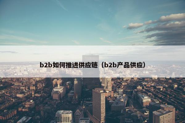 b2b如何推进供应链（b2b产品供应）