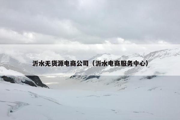 沂水无货源电商公司（沂水电商服务中心）
