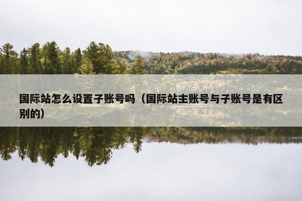 国际站怎么设置子账号吗（国际站主账号与子账号是有区别的）