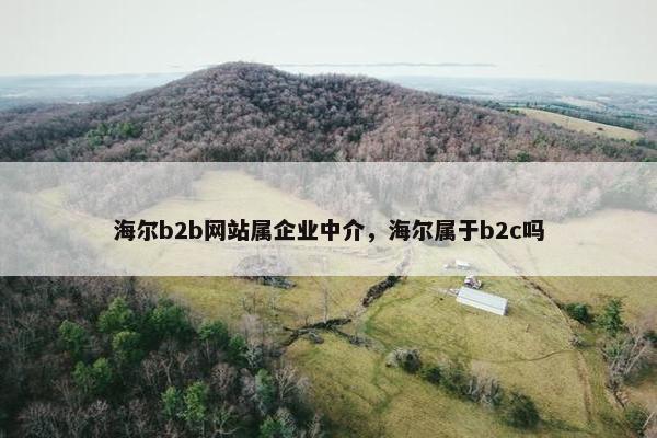 海尔b2b网站属企业中介，海尔属于b2c吗