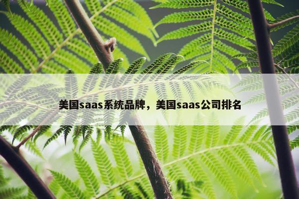 美国saas系统品牌，美国saas公司排名