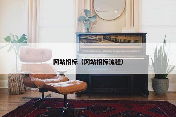 网站招标（网站招标流程）