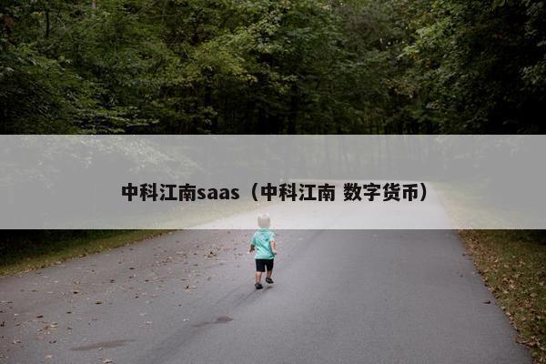 中科江南saas（中科江南 数字货币）