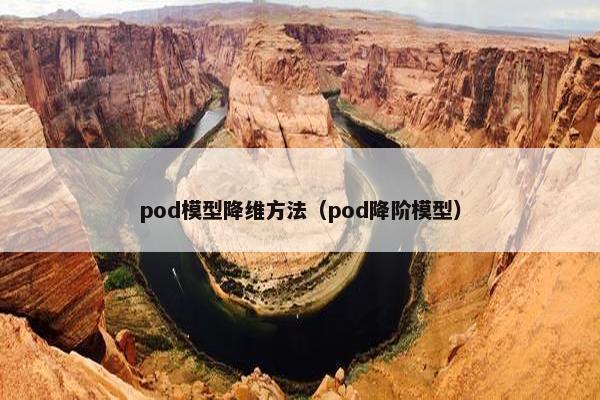pod模型降维方法（pod降阶模型）