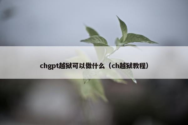 chgpt越狱可以做什么（ch越狱教程）