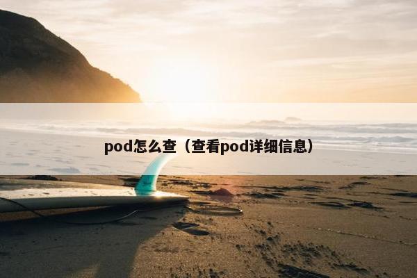 pod怎么查（查看pod详细信息）
