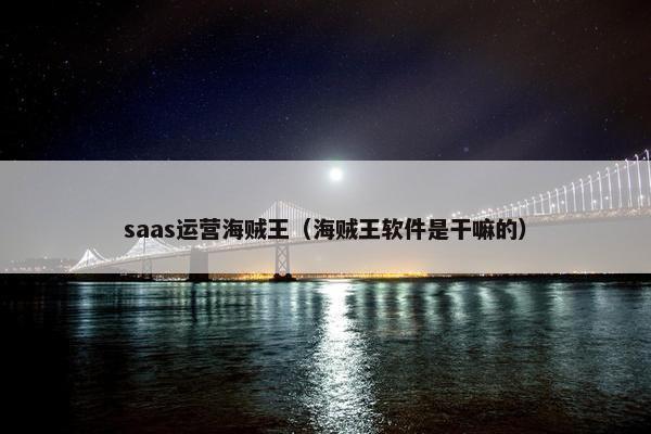 saas运营海贼王（海贼王软件是干嘛的）