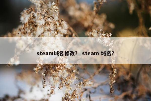 steam域名修改？ steam 域名？