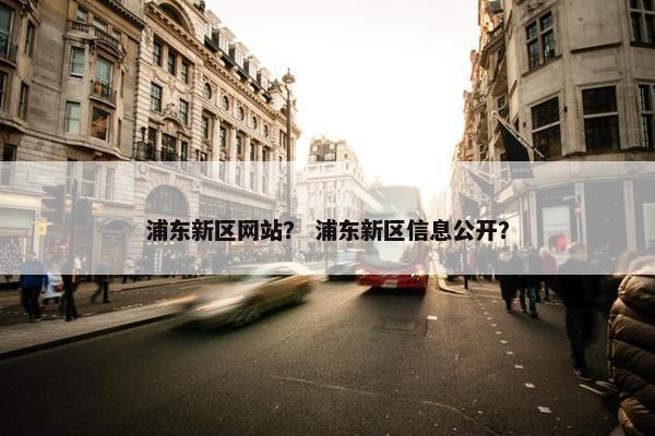 浦东新区网站？ 浦东新区信息公开？