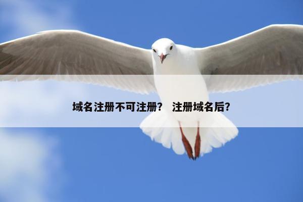 域名注册不可注册？ 注册域名后？