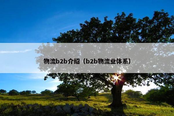 物流b2b介绍（b2b物流业体系）