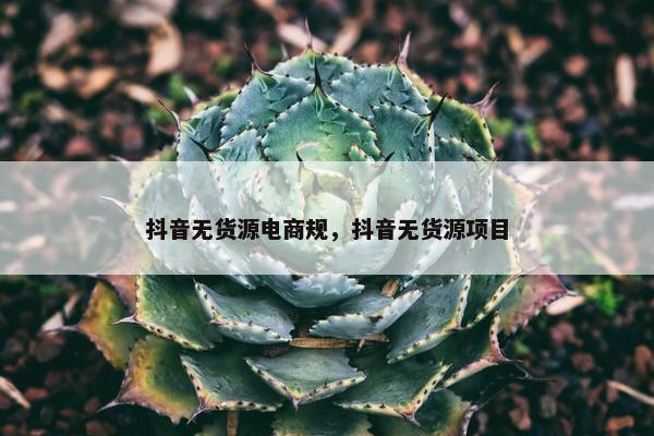 抖音无货源电商规，抖音无货源项目