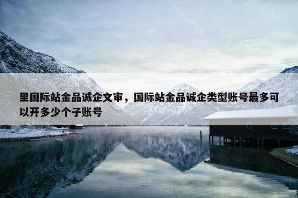 里国际站金品诚企文审，国际站金品诚企类型账号最多可以开多少个子账号