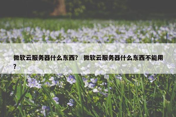 微软云服务器什么东西？ 微软云服务器什么东西不能用？