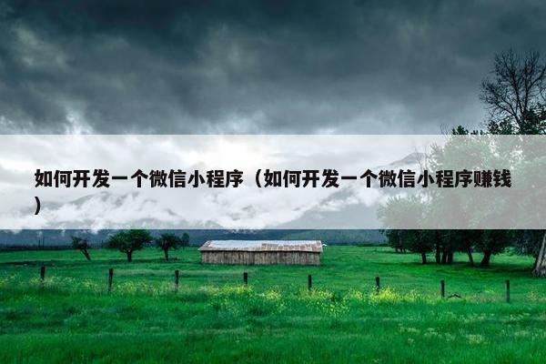 如何开发一个微信小程序（如何开发一个微信小程序赚钱）