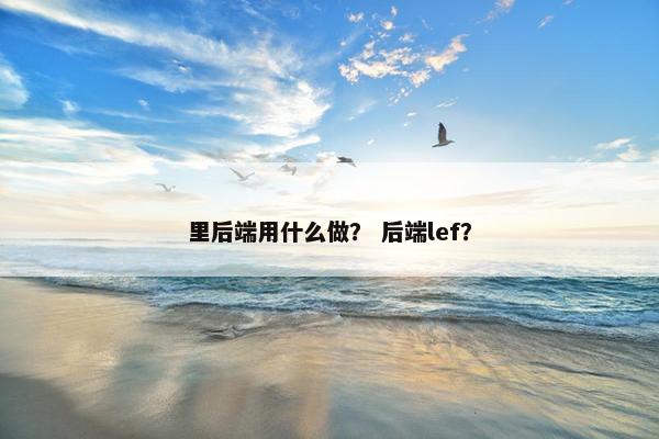里后端用什么做？ 后端lef？
