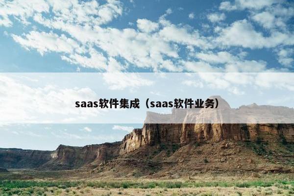 saas软件集成（saas软件业务）