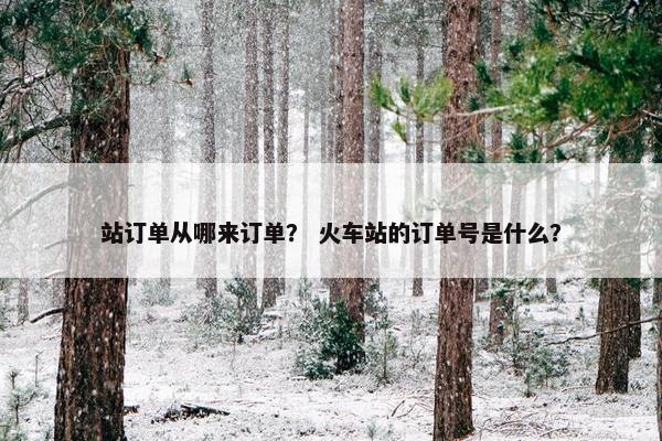 站订单从哪来订单？ 火车站的订单号是什么？