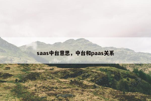 saas中台意思，中台和paas关系