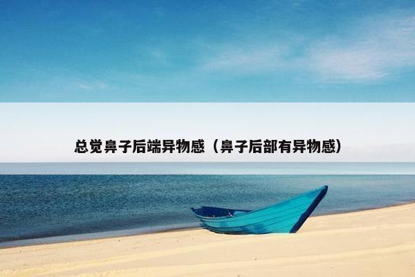 总觉鼻子后端异物感（鼻子后部有异物感）