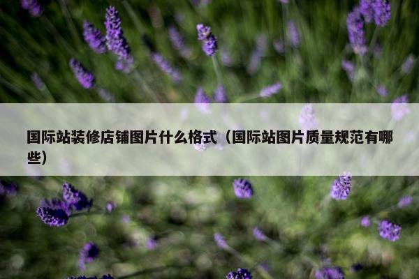 国际站装修店铺图片什么格式（国际站图片质量规范有哪些）