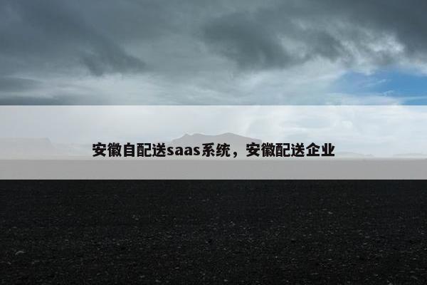 安徽自配送saas系统，安徽配送企业