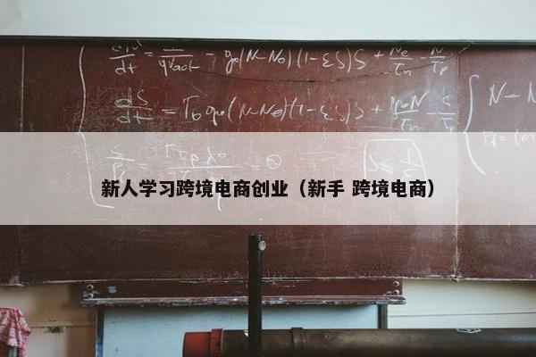 新人学习跨境电商创业（新手 跨境电商）