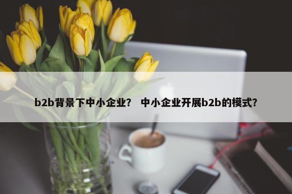 b2b背景下中小企业？ 中小企业开展b2b的模式？